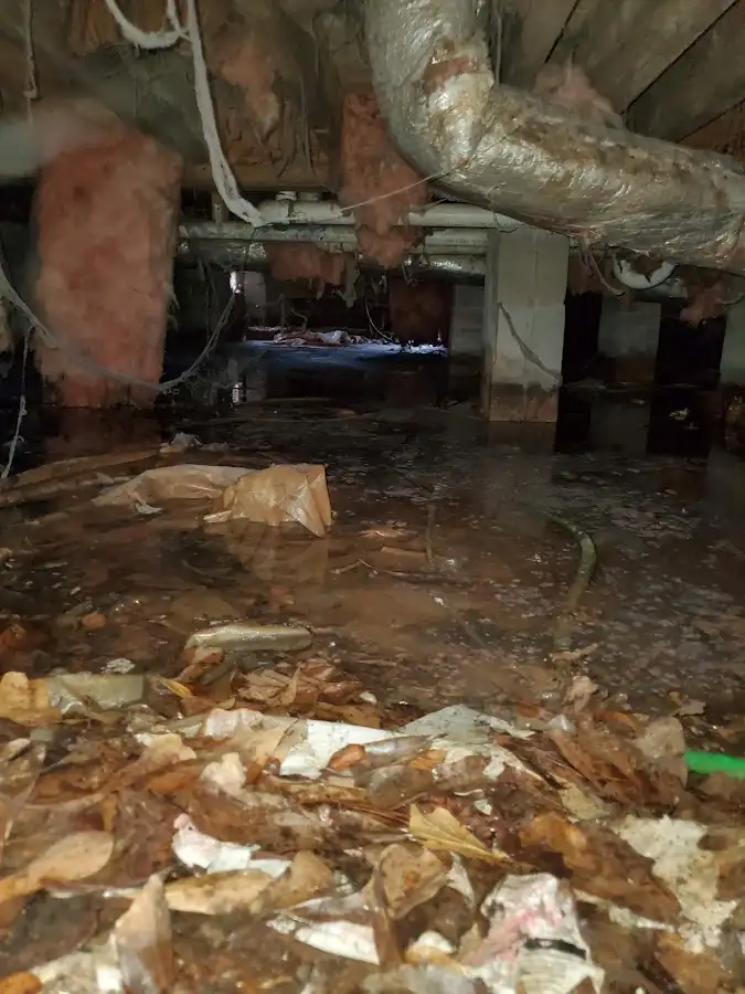 Crawl space flood assessment for Leak Detection & Repair in Battle Creek