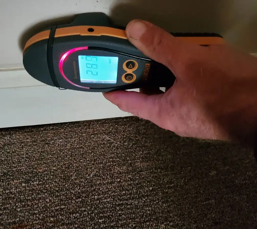 Moisture detection at baseboard during Sewage Cleanup & Sanitation in Battle Creek